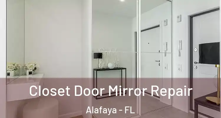  Closet Door Mirror Repair Alafaya - FL
