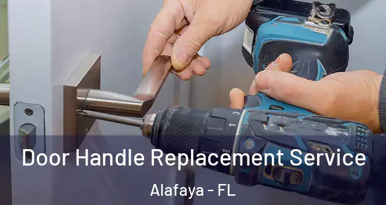  Door Handle Replacement Service Alafaya - FL