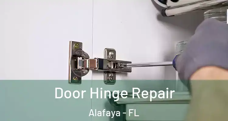  Door Hinge Repair Alafaya - FL