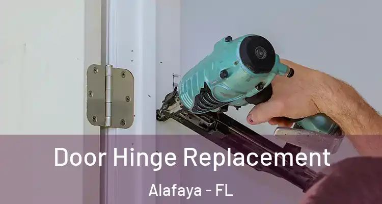  Door Hinge Replacement Alafaya - FL