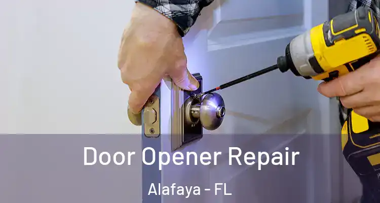  Door Opener Repair Alafaya - FL