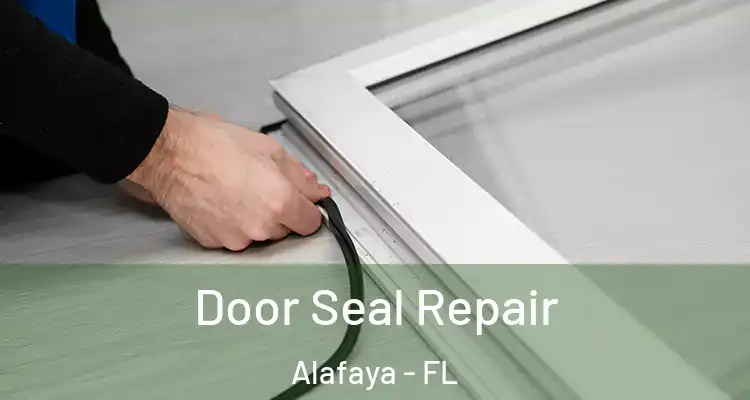  Door Seal Repair Alafaya - FL