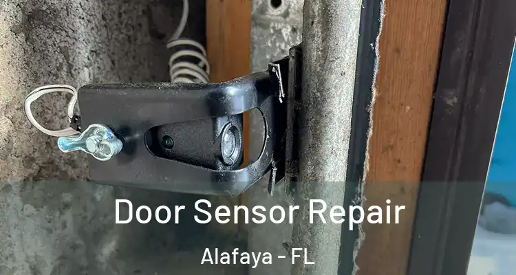  Door Sensor Repair Alafaya - FL