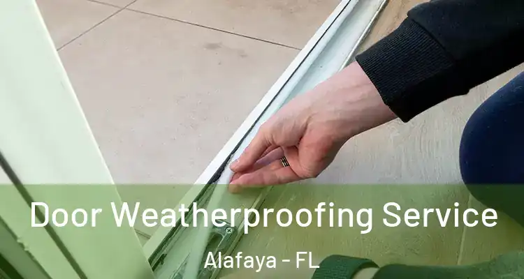  Door Weatherproofing Service Alafaya - FL