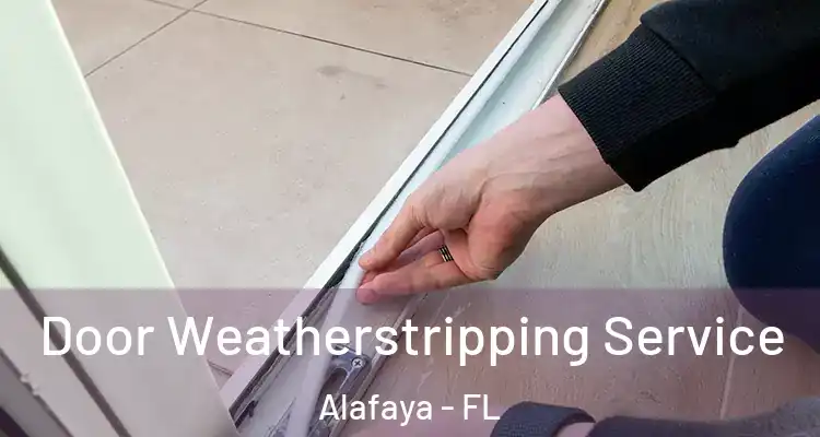  Door Weatherstripping Service Alafaya - FL