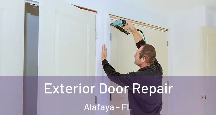  Exterior Door Repair Alafaya - FL