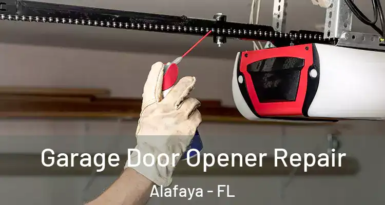  Garage Door Opener Repair Alafaya - FL