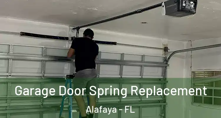  Garage Door Spring Replacement Alafaya - FL