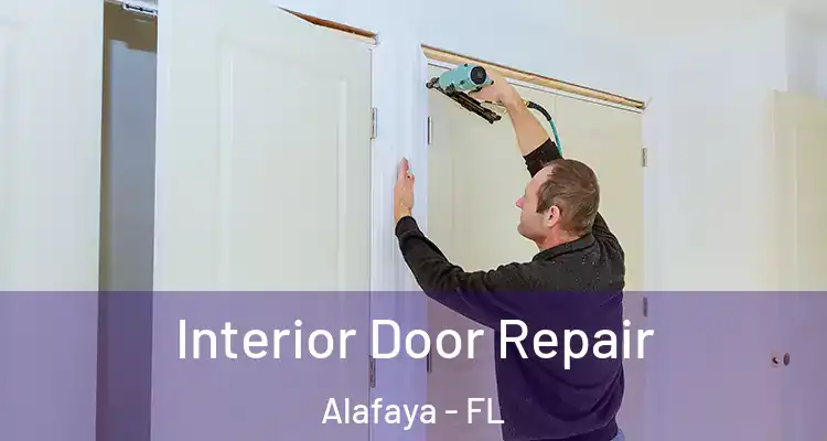  Interior Door Repair Alafaya - FL