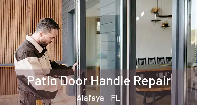  Patio Door Handle Repair Alafaya - FL