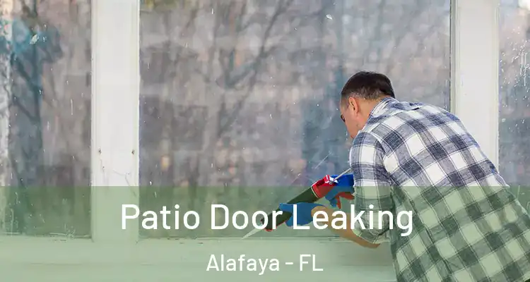  Patio Door Leaking Alafaya - FL