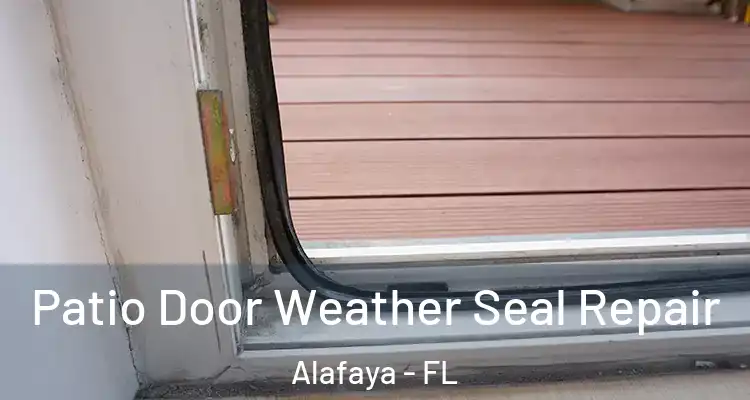  Patio Door Weather Seal Repair Alafaya - FL