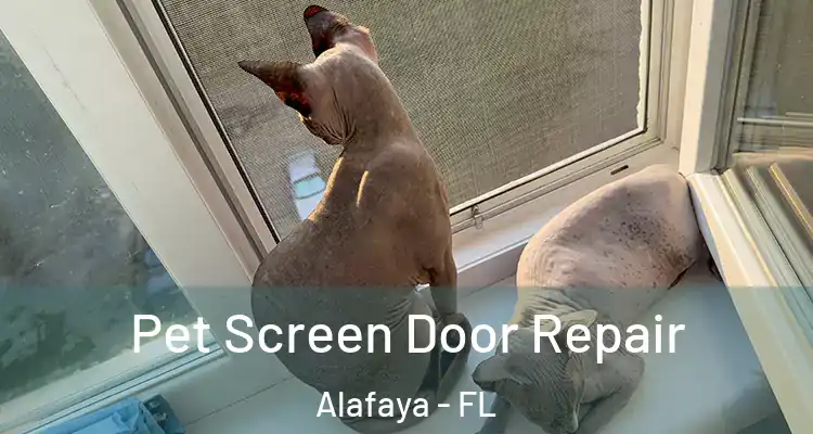  Pet Screen Door Repair Alafaya - FL