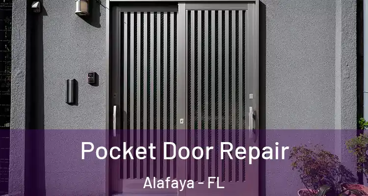  Pocket Door Repair Alafaya - FL