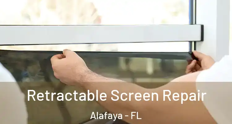  Retractable Screen Repair Alafaya - FL