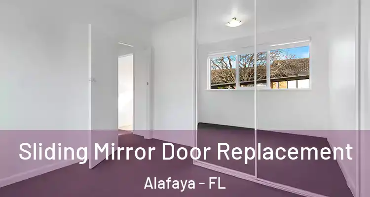  Sliding Mirror Door Replacement Alafaya - FL
