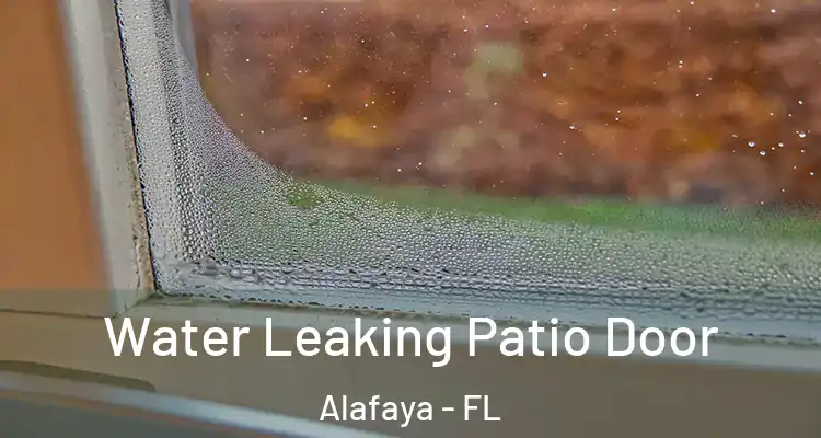  Water Leaking Patio Door Alafaya - FL